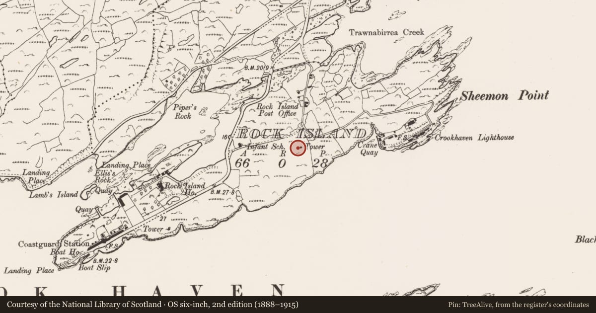 Ordnance Survey six-inch map, 2nd edition (1888–1915) covering the location of Designed landscape - belvedere, Rock Island, County Cork, with a pin at the register's coordinates