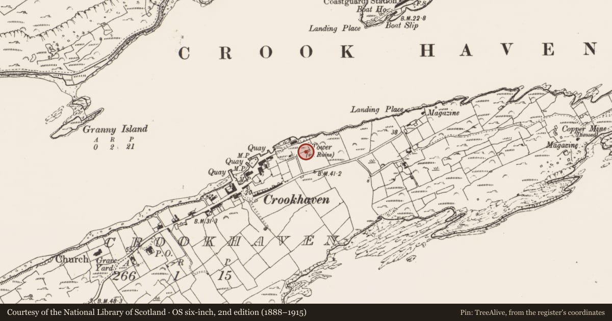 Ordnance Survey six-inch map, 2nd edition (1888–1915) covering the location of Designed landscape - belvedere, Crookhaven, County Cork, with a pin at the register's coordinates