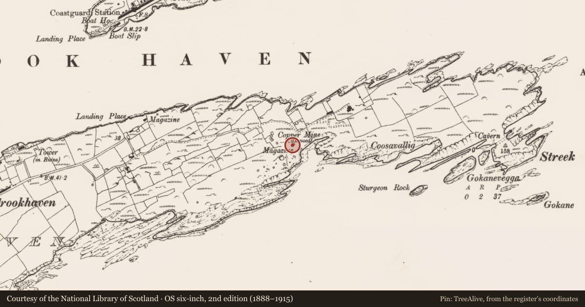 Ordnance Survey six-inch map, 2nd edition (1888–1915) covering the location of Mining complex, Crookhaven, County Cork, with a pin at the register's coordinates