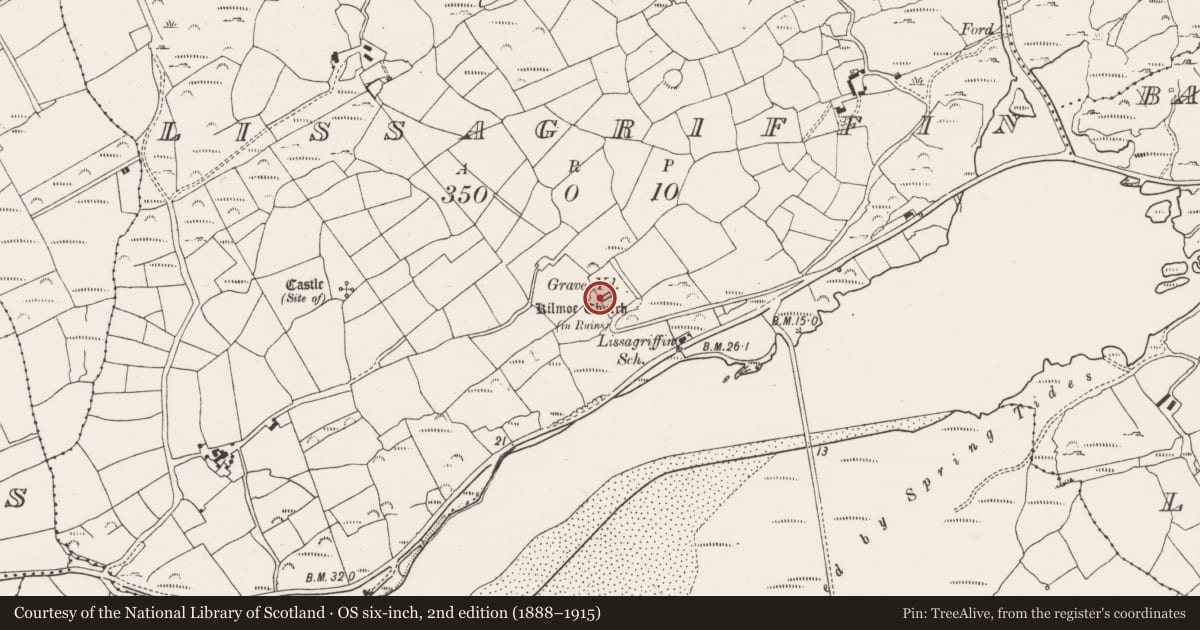 Ordnance Survey six-inch map, 2nd edition (1888–1915) covering the location of Cross, Lissagriffin, County Cork, with a pin at the register's coordinates