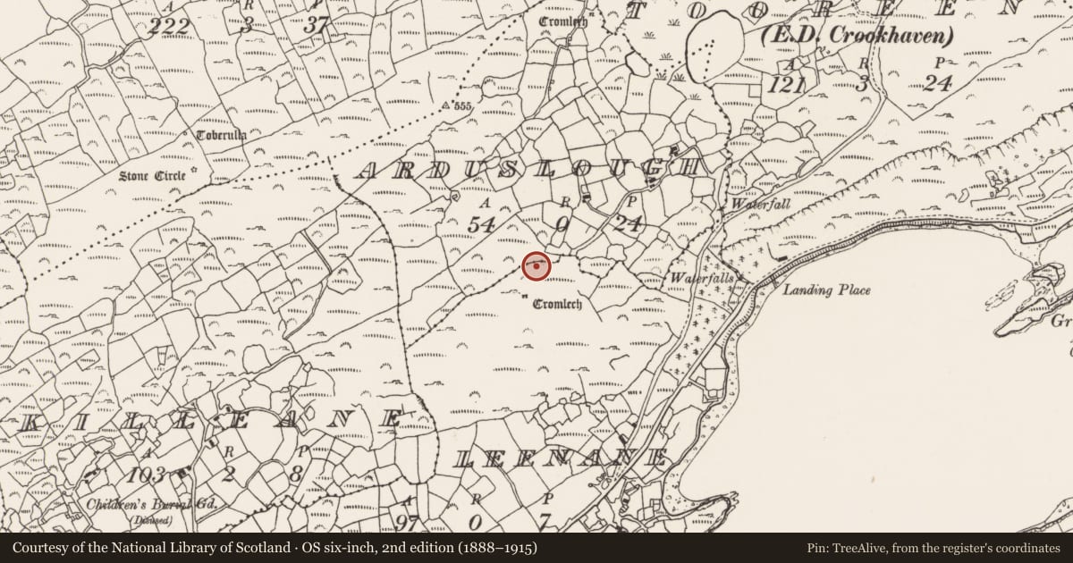 Ordnance Survey six-inch map, 2nd edition (1888–1915) covering the location of Megalithic tomb - wedge tomb, Leenane, County Cork, with a pin at the register's coordinates
