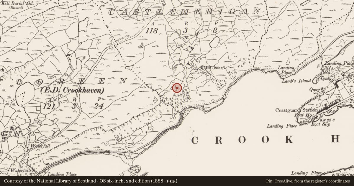 Ordnance Survey six-inch map, 2nd edition (1888–1915) covering the location of Ringfort - rath, Castlemehigan, County Cork, with a pin at the register's coordinates