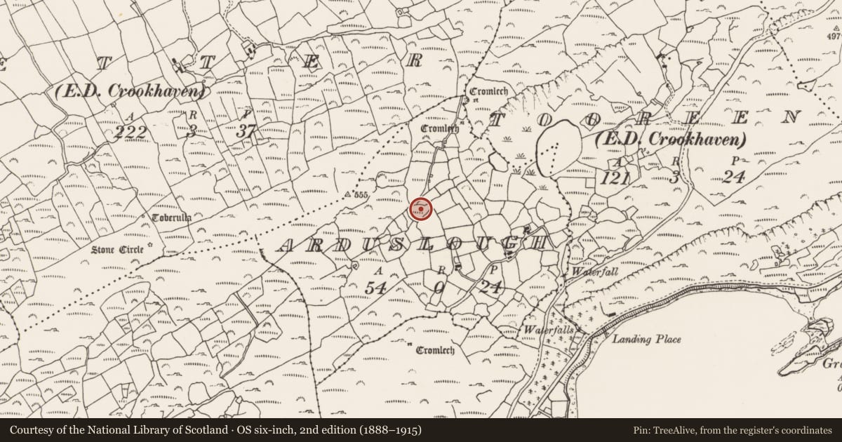Ordnance Survey six-inch map, 2nd edition (1888–1915) covering the location of Cupmarked stone, Arduslough, County Cork, with a pin at the register's coordinates