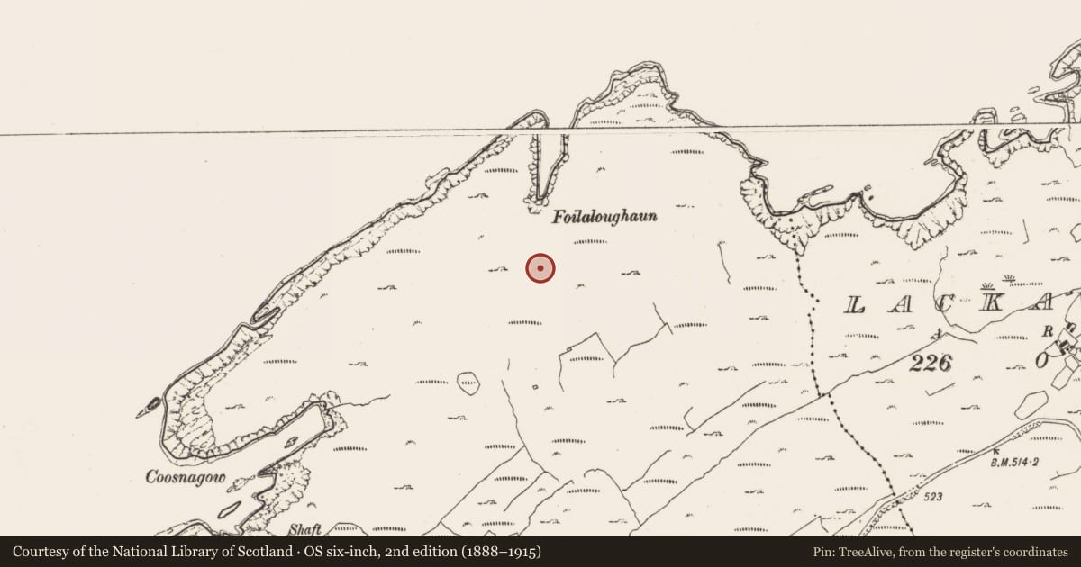 Ordnance Survey six-inch map, 2nd edition (1888–1915) covering the location of Cairn - unclassified, Carrigacat And Milleen, County Cork, with a pin at the register's coordinates