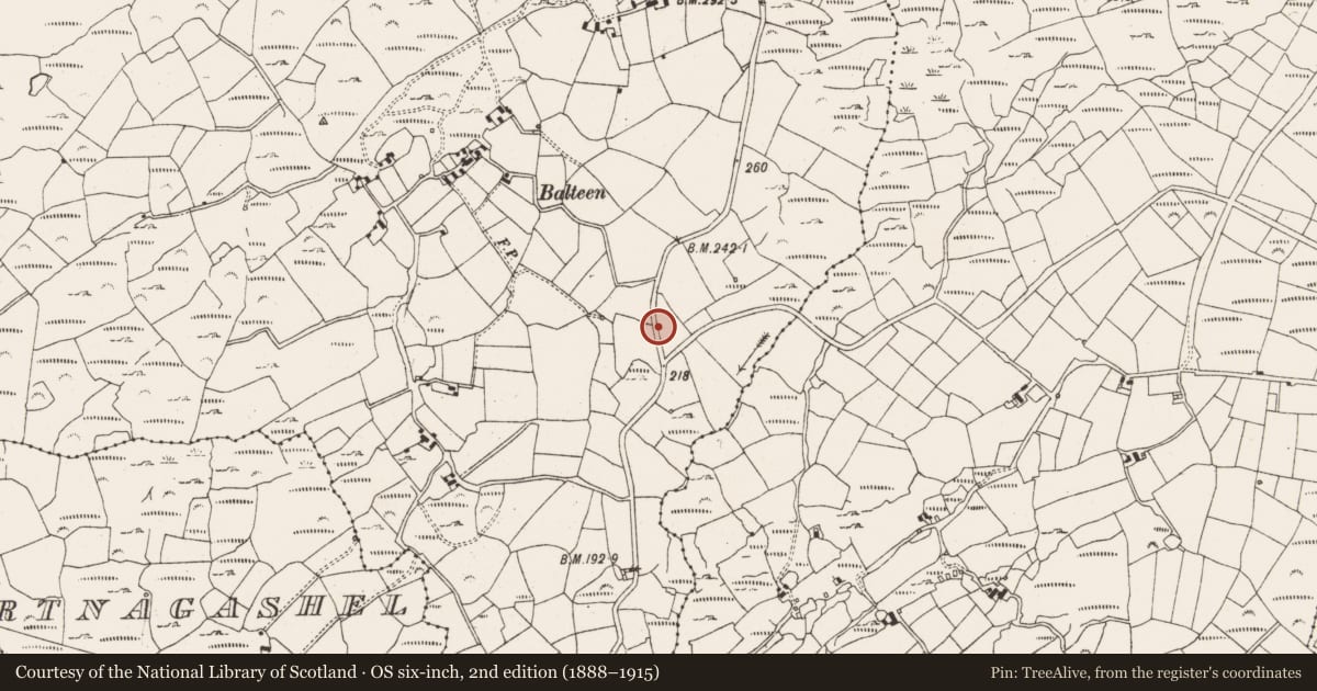 Ordnance Survey six-inch map, 2nd edition (1888–1915) covering the location of Cupmarked stone, Balteen (Carbery West (W.D.) By., Kilmore Par.), County Cork, with a pin at the register's coordinates