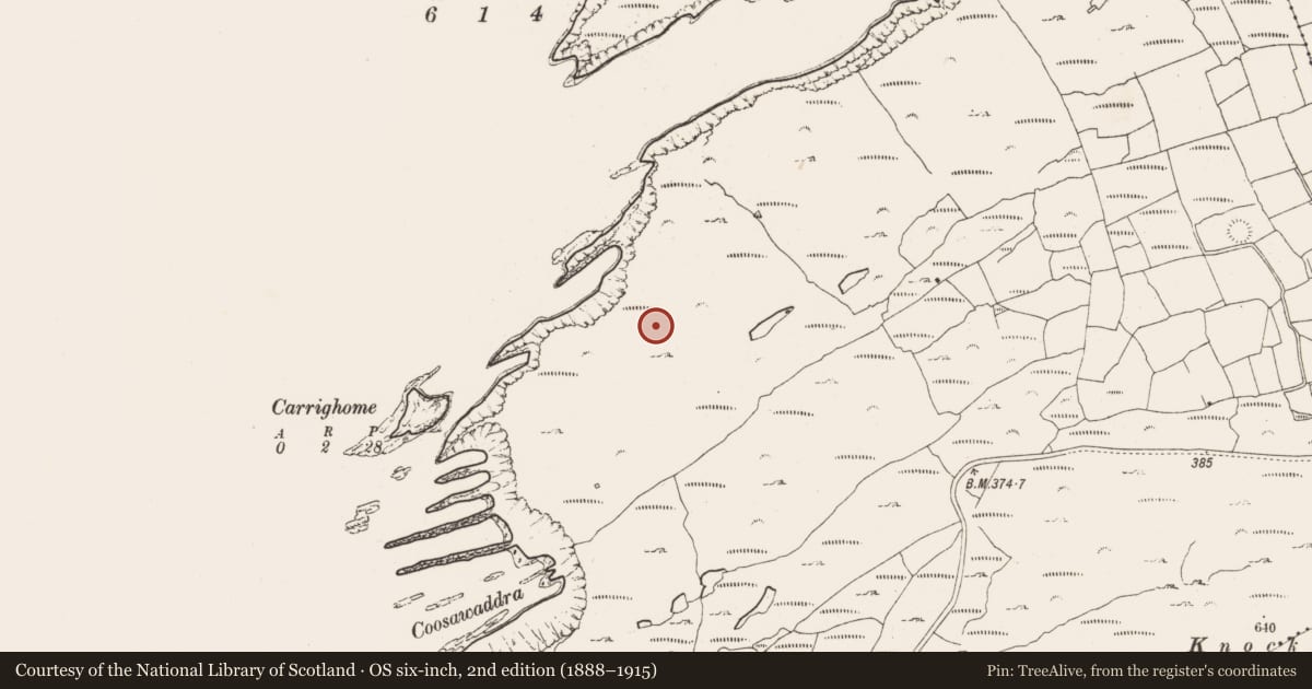 Ordnance Survey six-inch map, 2nd edition (1888–1915) covering the location of Hut site, Balteen (Carbery West (W.D.) By., Kilmore Par.), County Cork, with a pin at the register's coordinates