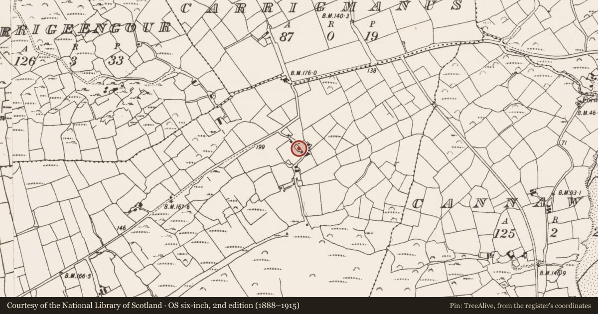 Ordnance Survey six-inch map, 2nd edition (1888–1915) covering the location of Ringfort - cashel, Caher (Carbery W. (W.D.) By., Kilmore Par.), County Cork, with a pin at the register's coordinates
