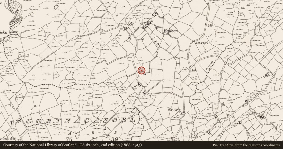 Ordnance Survey six-inch map, 2nd edition (1888–1915) covering the location of Cupmarked stone, Balteen (Carbery West (W.D.) By., Kilmore Par.), County Cork, with a pin at the register's coordinates