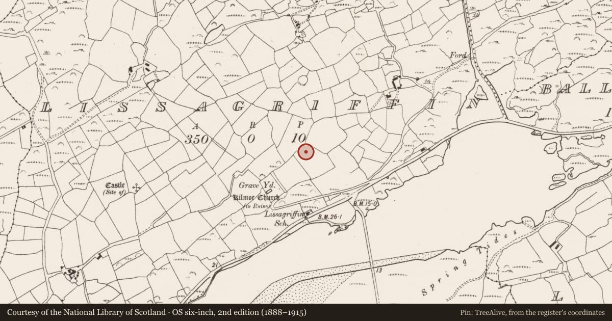Ordnance Survey six-inch map, 2nd edition (1888–1915) covering the location of Standing stone, Lissagriffin, County Cork, with a pin at the register's coordinates