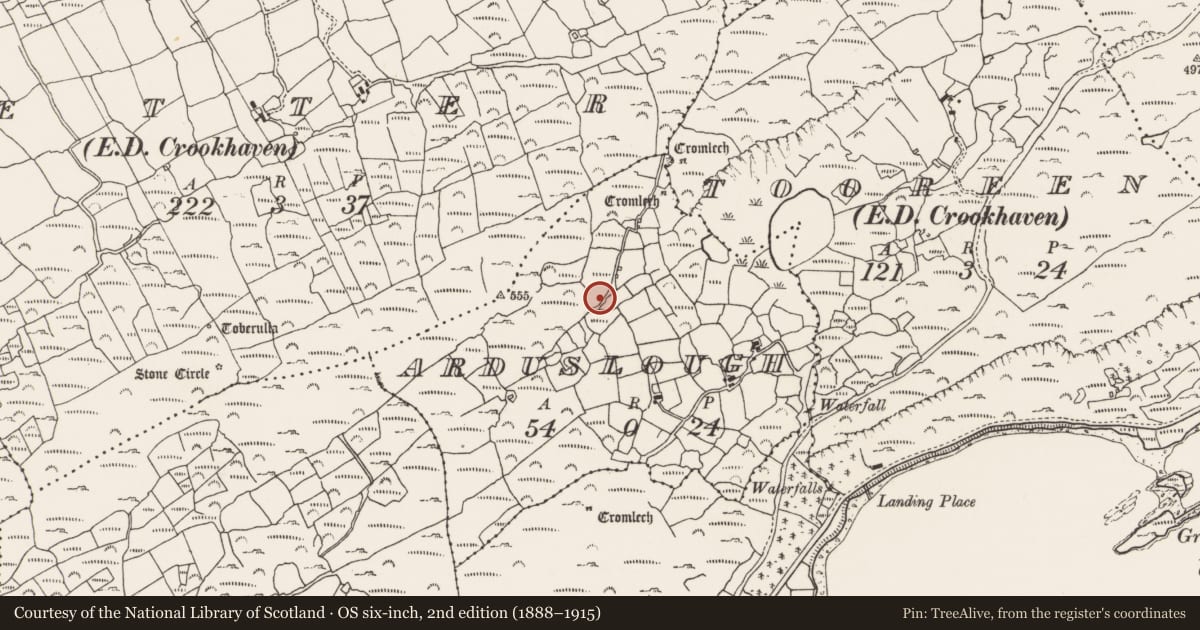 Ordnance Survey six-inch map, 2nd edition (1888–1915) covering the location of Enclosure, Arduslough, County Cork, with a pin at the register's coordinates
