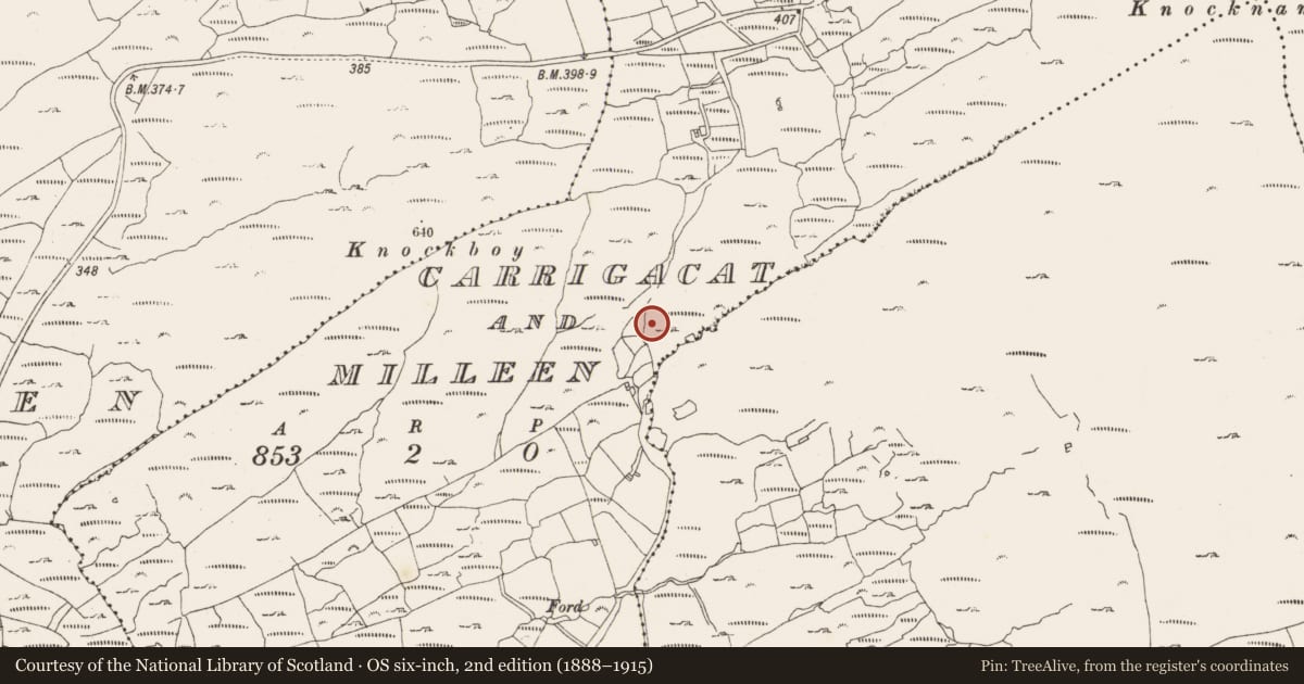 Ordnance Survey six-inch map, 2nd edition (1888–1915) covering the location of Mine - copper, Carrigacat And Milleen, County Cork, with a pin at the register's coordinates