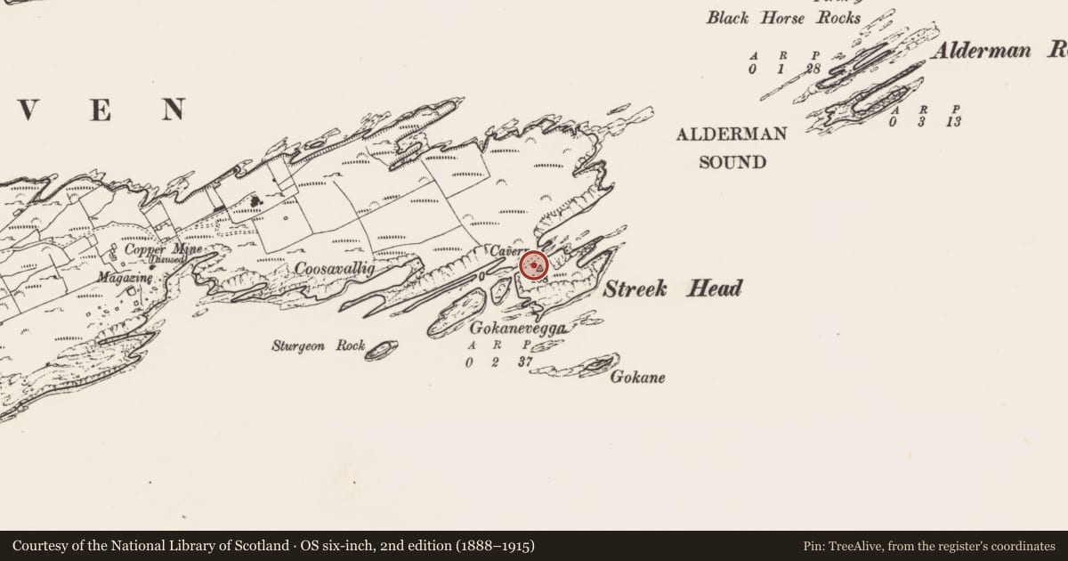Ordnance Survey six-inch map, 2nd edition (1888–1915) covering the location of Promontory fort - coastal, Crookhaven, County Cork, with a pin at the register's coordinates