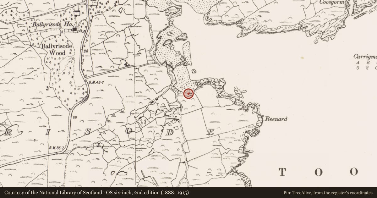 Ordnance Survey six-inch map, 2nd edition (1888–1915) covering the location of Fulacht fia, Ballyrisode, County Cork, with a pin at the register's coordinates