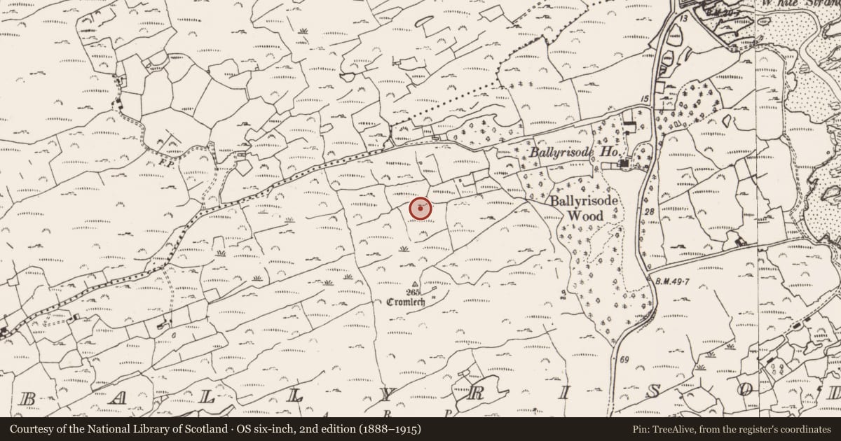 Ordnance Survey six-inch map, 2nd edition (1888–1915) covering the location of Boulder-burial, Ballyrisode, County Cork, with a pin at the register's coordinates