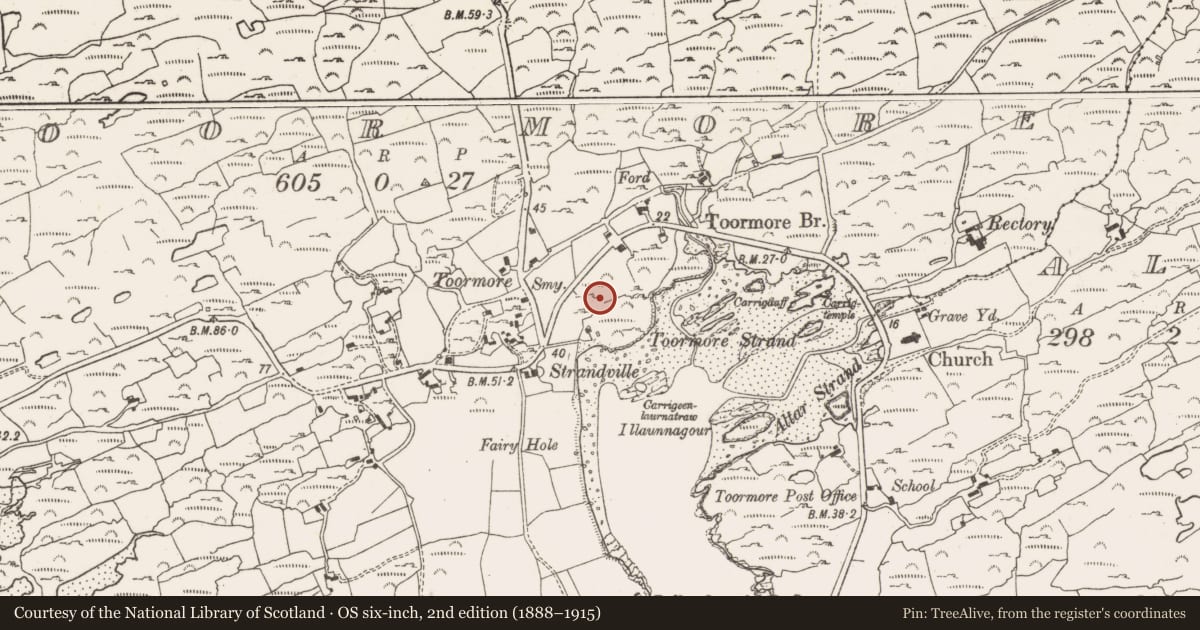 Ordnance Survey six-inch map, 2nd edition (1888–1915) covering the location of Megalithic tomb - wedge tomb, Toormore, County Cork, with a pin at the register's coordinates