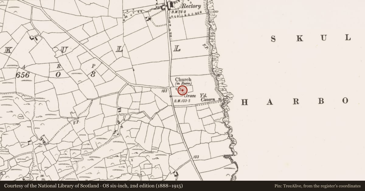 Ordnance Survey six-inch map, 2nd edition (1888–1915) covering the location of Cross-slab, Skull, County Cork, with a pin at the register's coordinates