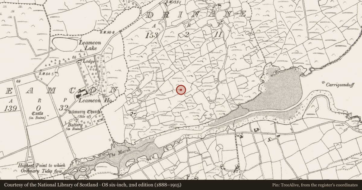 Ordnance Survey six-inch map, 2nd edition (1888–1915) covering the location of Hut site, Drinane, County Cork, with a pin at the register's coordinates