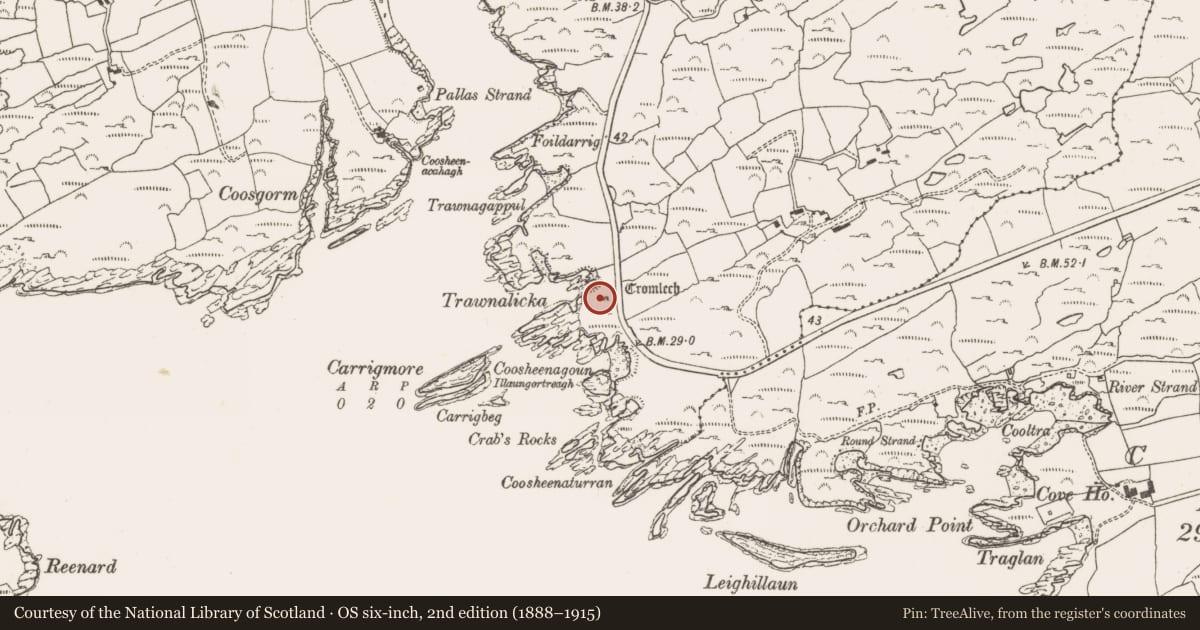 Ordnance Survey six-inch map, 2nd edition (1888–1915) covering the location of Megalithic tomb - wedge tomb, Altar, County Cork, with a pin at the register's coordinates
