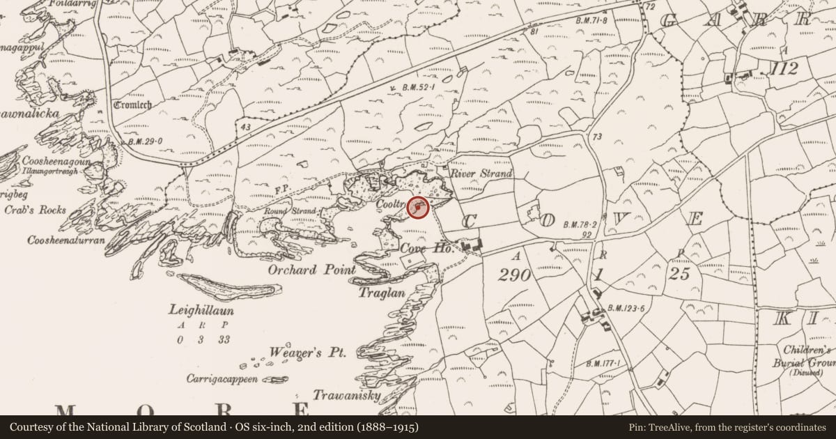 Ordnance Survey six-inch map, 2nd edition (1888–1915) covering the location of Kiln - lime, Cove, County Cork, with a pin at the register's coordinates