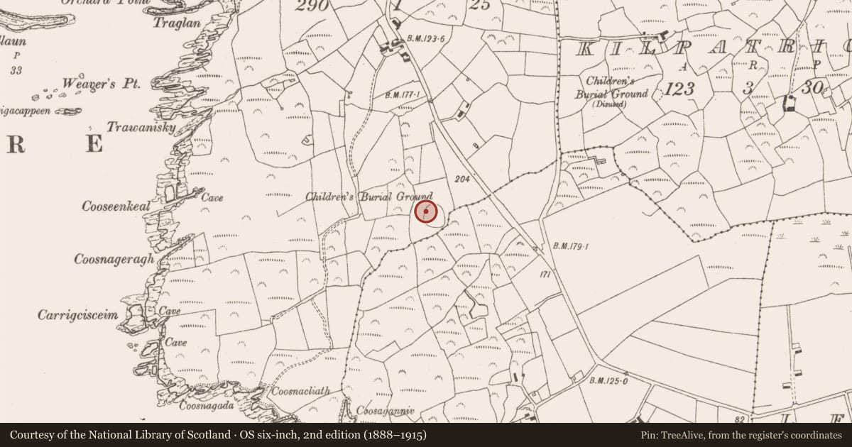 Ordnance Survey six-inch map, 2nd edition (1888–1915) covering the location of Church, Cove, County Cork, with a pin at the register's coordinates