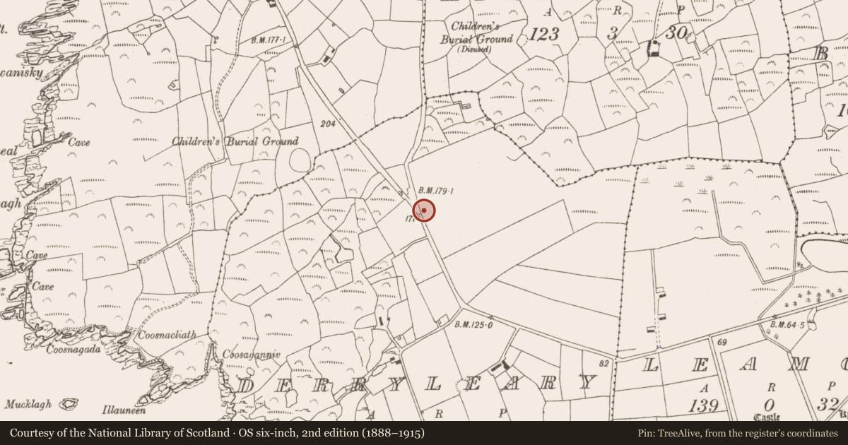 Ordnance Survey six-inch map, 2nd edition (1888–1915) covering the location of Ringfort - rath, Derryleary, County Cork, with a pin at the register's coordinates