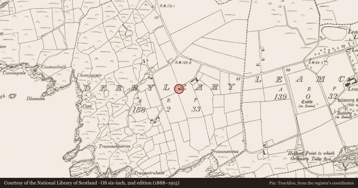 Ordnance Survey six-inch map, 2nd edition (1888–1915) covering the location of Ringfort - rath, Derryleary, County Cork, with a pin at the register's coordinates