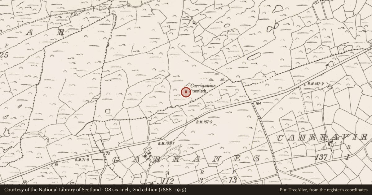 Ordnance Survey six-inch map, 2nd edition (1888–1915) covering the location of Megalithic tomb - portal tomb, Arderrawinny, County Cork, with a pin at the register's coordinates