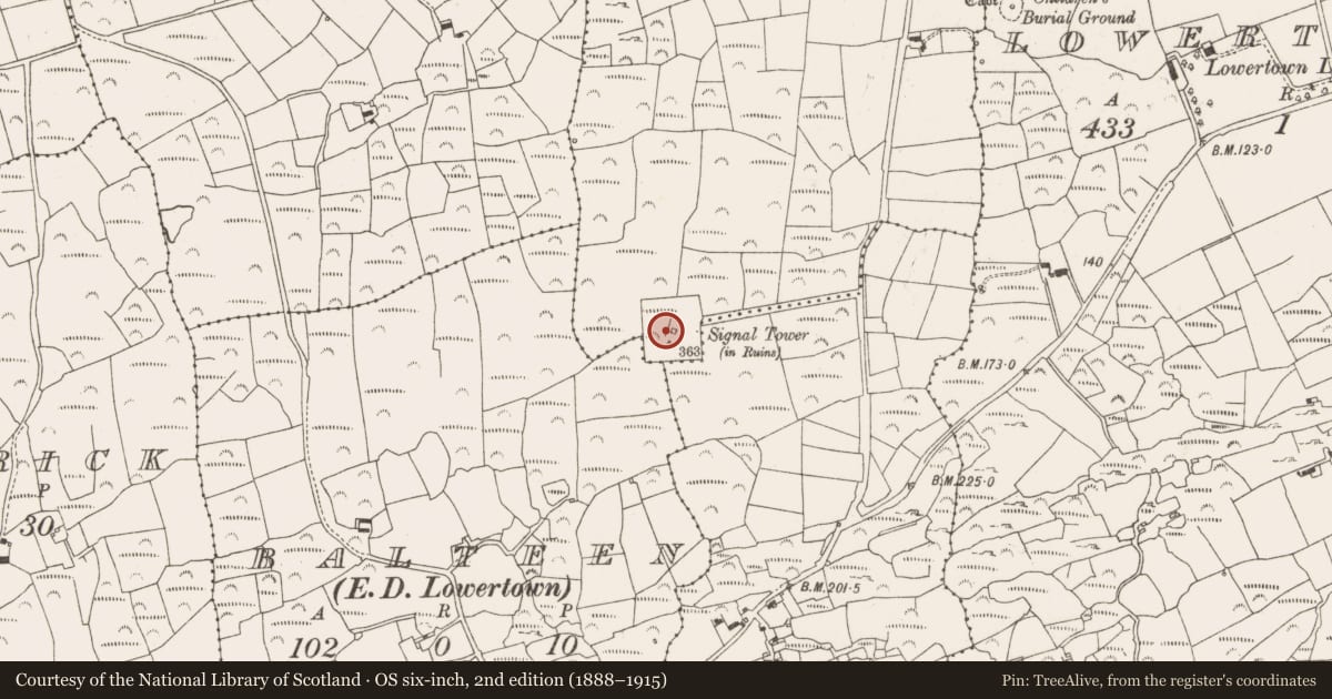 Ordnance Survey six-inch map, 2nd edition (1888–1915) covering the location of Signal tower, Knock, County Cork, with a pin at the register's coordinates