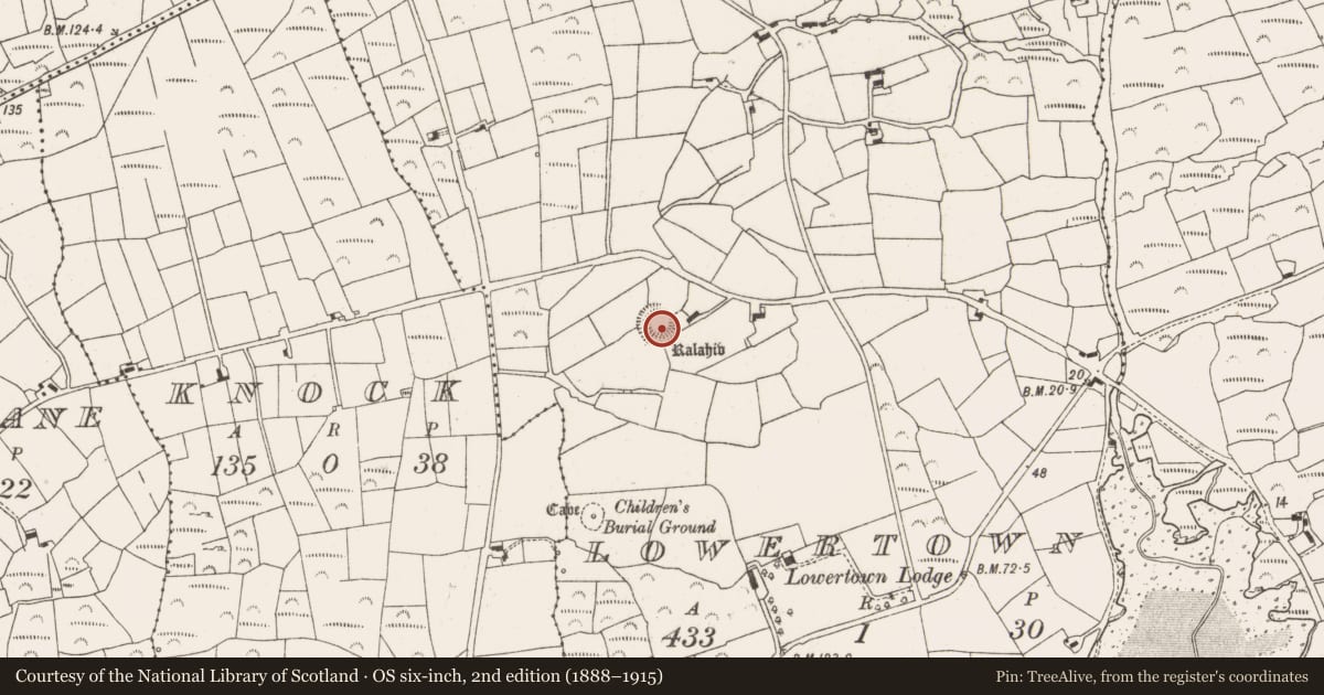 Ordnance Survey six-inch map, 2nd edition (1888–1915) covering the location of Ringfort - rath, Lowertown, County Cork, with a pin at the register's coordinates
