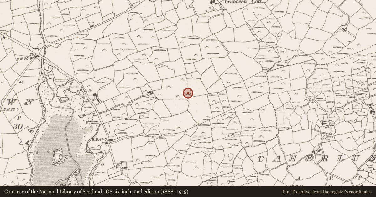 Ordnance Survey six-inch map, 2nd edition (1888–1915) covering the location of Ringfort - rath, Gubbeen, County Cork, with a pin at the register's coordinates