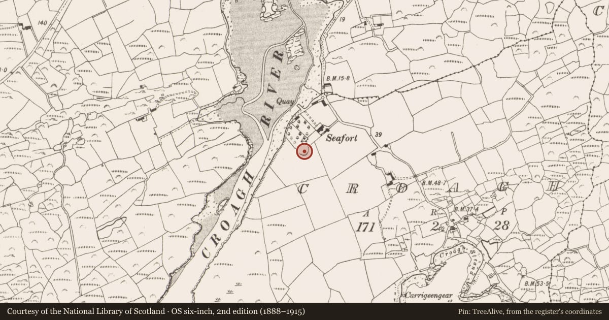 Ordnance Survey six-inch map, 2nd edition (1888–1915) covering the location of Ringfort - rath, Croagh, County Cork, with a pin at the register's coordinates