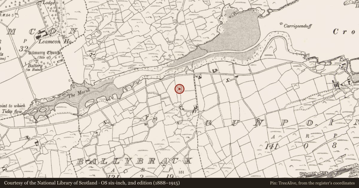 Ordnance Survey six-inch map, 2nd edition (1888–1915) covering the location of Souterrain, Ballybrack, County Cork, with a pin at the register's coordinates