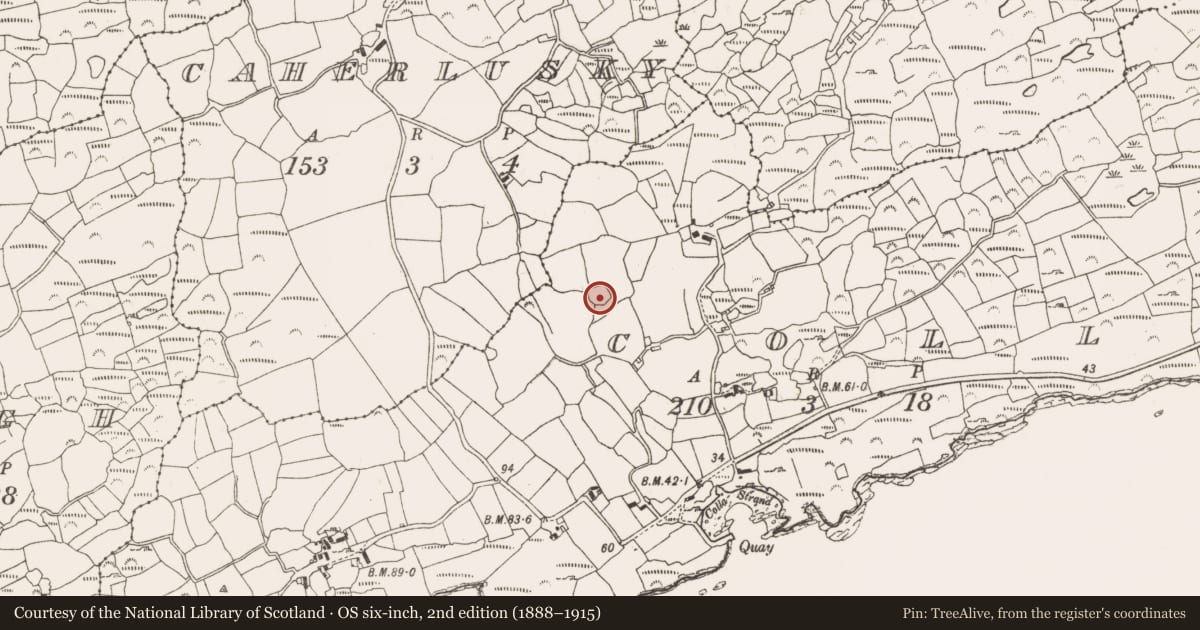 Ordnance Survey six-inch map, 2nd edition (1888–1915) covering the location of Enclosure, Colla, County Cork, with a pin at the register's coordinates