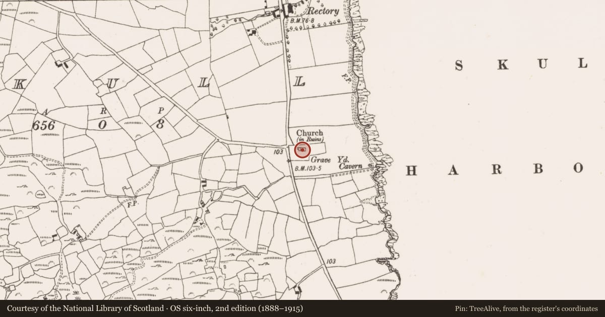 Ordnance Survey six-inch map, 2nd edition (1888–1915) covering the location of Church, Skull, County Cork, with a pin at the register's coordinates