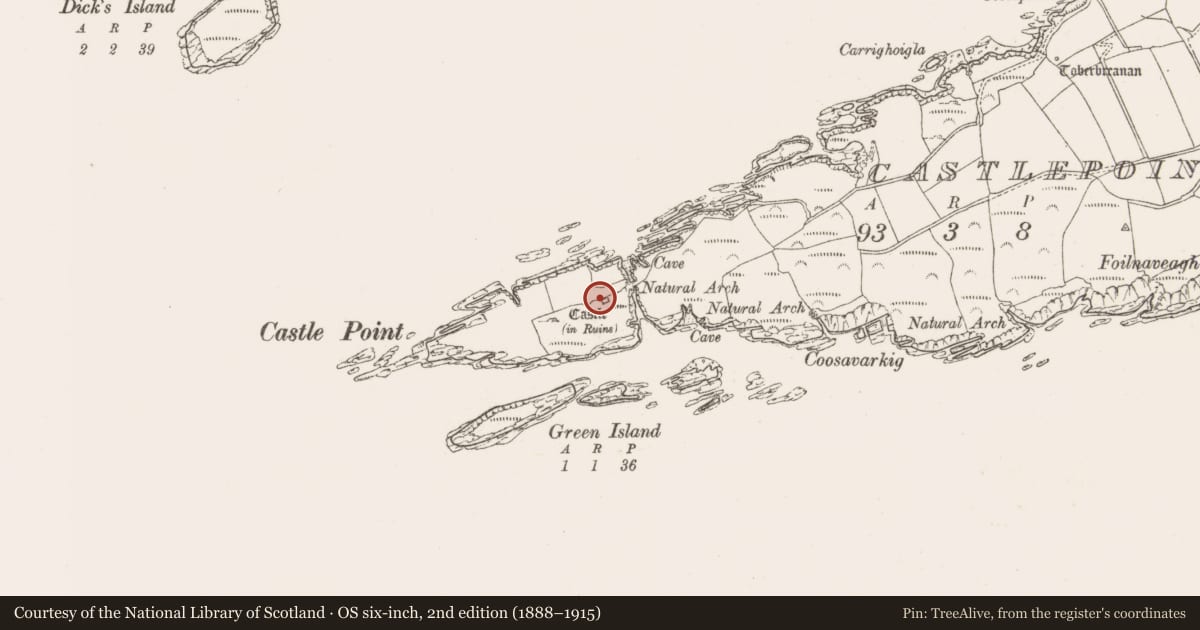 Ordnance Survey six-inch map, 2nd edition (1888–1915) covering the location of Castle - tower house, Castlepoint, County Cork, with a pin at the register's coordinates