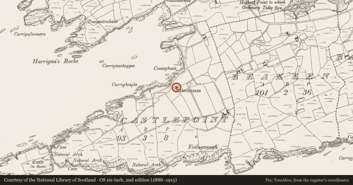 Ordnance Survey six-inch map, 2nd edition (1888–1915) covering the location of Ritual site - holy well, Castlepoint, County Cork, with a pin at the register's coordinates