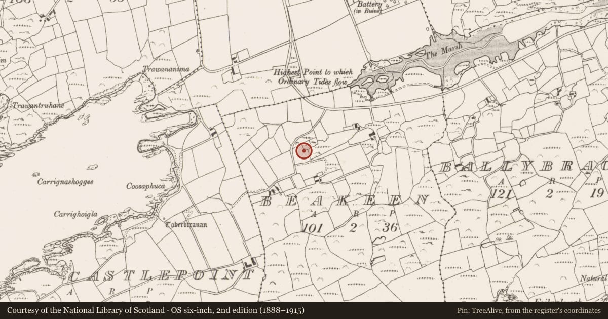 Ordnance Survey six-inch map, 2nd edition (1888–1915) covering the location of Standing stone, Beakeen, County Cork, with a pin at the register's coordinates