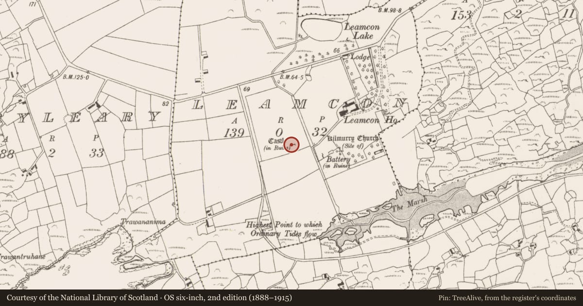 Ordnance Survey six-inch map, 2nd edition (1888–1915) covering the location of Castle - unclassified, Leamcon, County Cork, with a pin at the register's coordinates