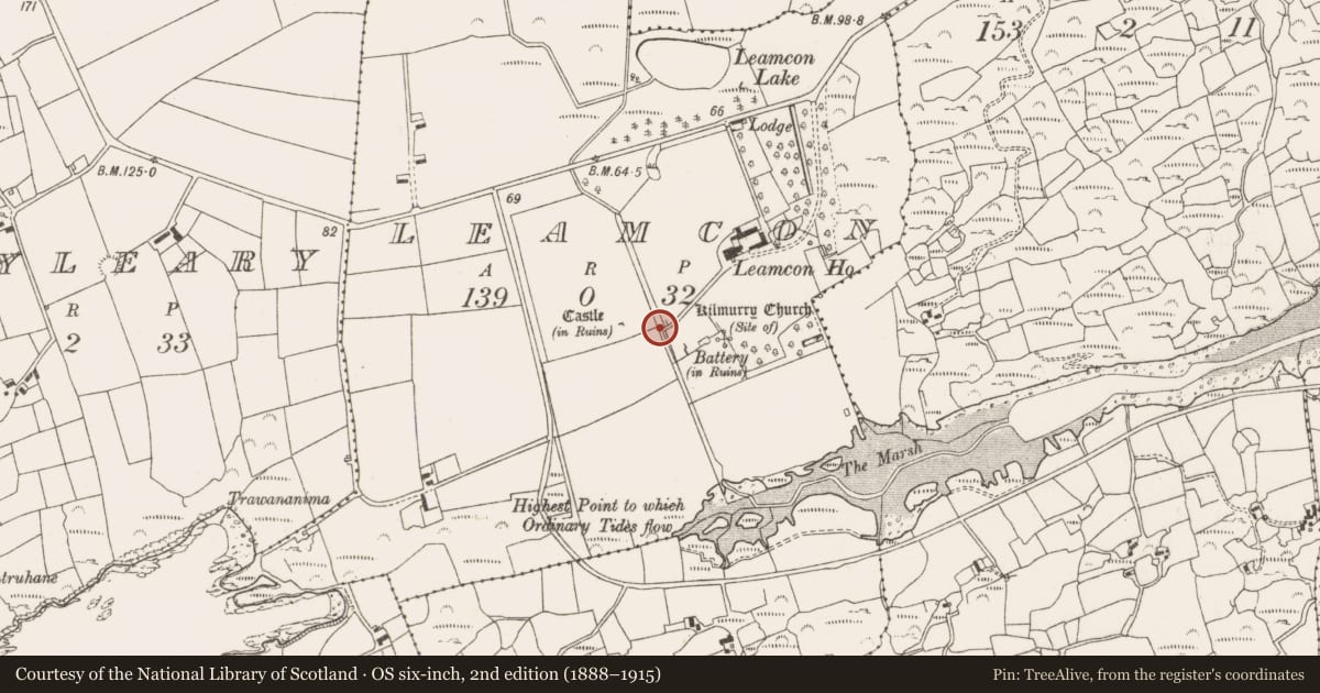 Ordnance Survey six-inch map, 2nd edition (1888–1915) covering the location of Bridge, Leamcon, County Cork, with a pin at the register's coordinates