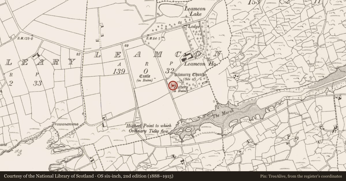 Ordnance Survey six-inch map, 2nd edition (1888–1915) covering the location of Country house, Leamcon, County Cork, with a pin at the register's coordinates