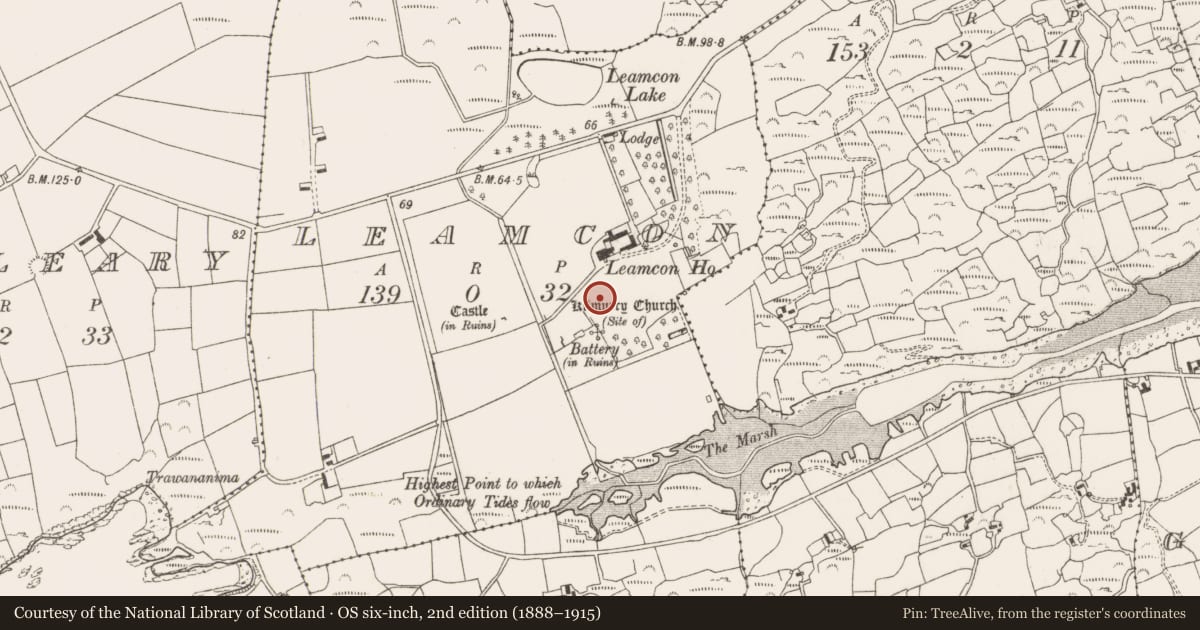 Ordnance Survey six-inch map, 2nd edition (1888–1915) covering the location of Souterrain, Leamcon, County Cork, with a pin at the register's coordinates