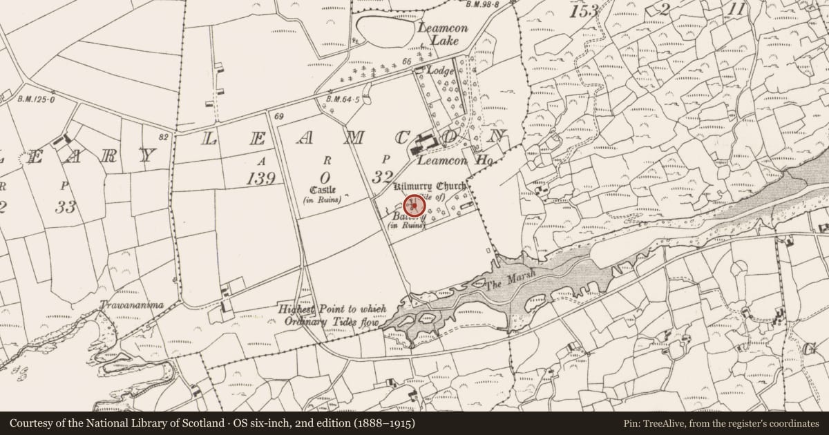 Ordnance Survey six-inch map, 2nd edition (1888–1915) covering the location of Church, Leamcon, County Cork, with a pin at the register's coordinates