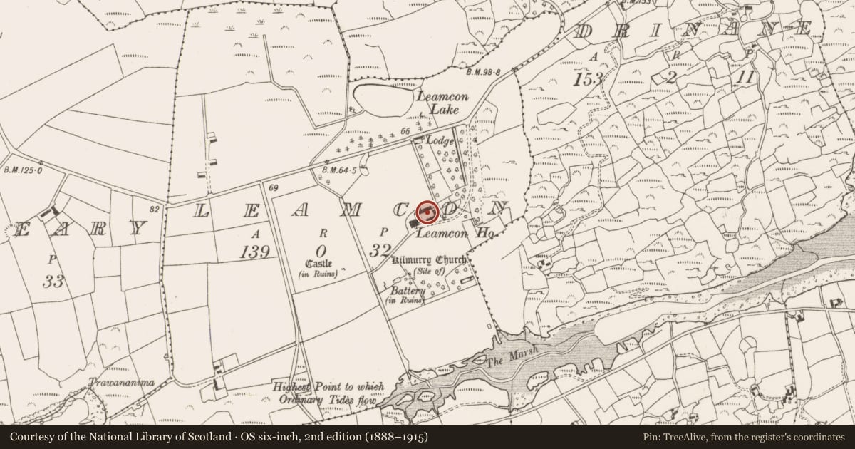 Ordnance Survey six-inch map, 2nd edition (1888–1915) covering the location of Country house, Leamcon, County Cork, with a pin at the register's coordinates