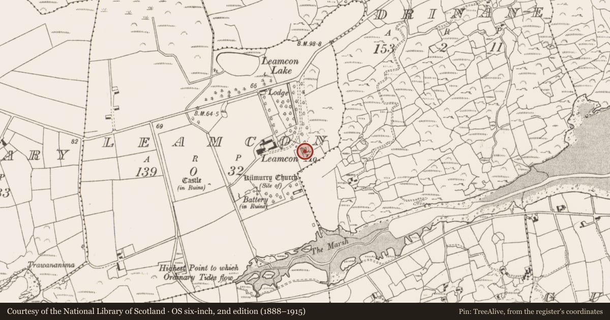 Ordnance Survey six-inch map, 2nd edition (1888–1915) covering the location of Fish palace, Leamcon, County Cork, with a pin at the register's coordinates