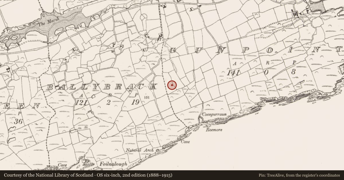 Ordnance Survey six-inch map, 2nd edition (1888–1915) covering the location of Standing stone, Gunpoint, County Cork, with a pin at the register's coordinates