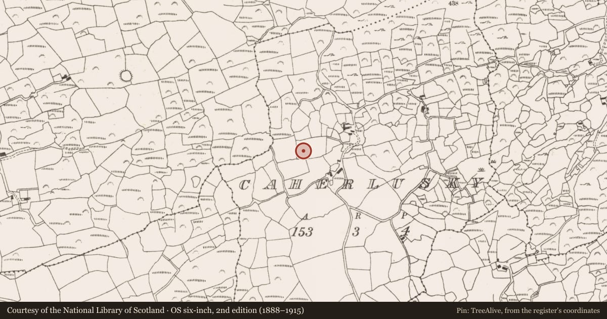 Ordnance Survey six-inch map, 2nd edition (1888–1915) covering the location of Fulacht fia, Caherlusky, County Cork, with a pin at the register's coordinates