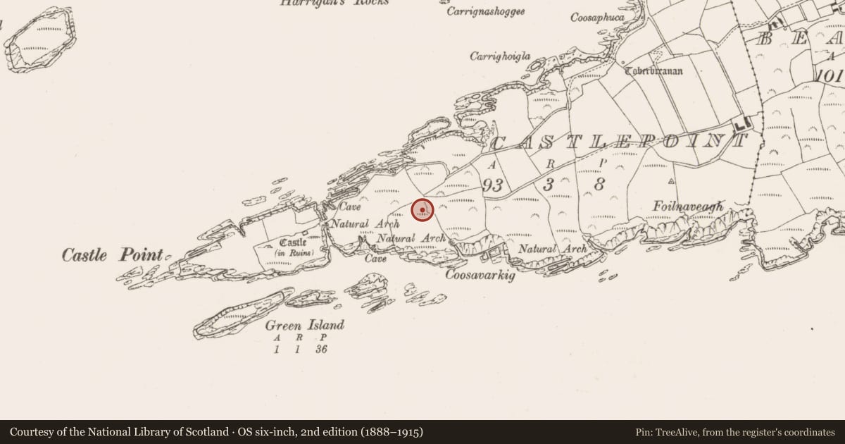 Ordnance Survey six-inch map, 2nd edition (1888–1915) covering the location of Mine - copper, Castlepoint, County Cork, with a pin at the register's coordinates