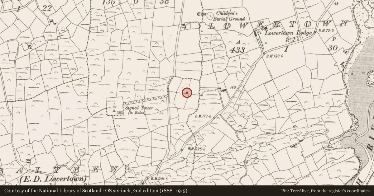 Ordnance Survey six-inch map, 2nd edition (1888–1915) covering the location of Souterrain, Drinane, County Cork, with a pin at the register's coordinates