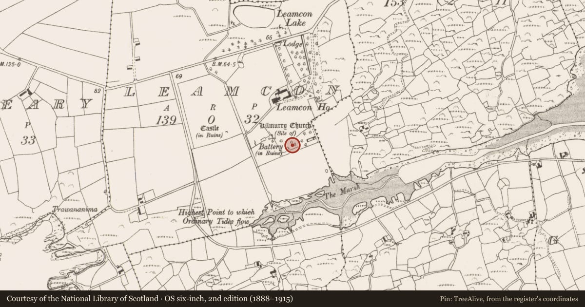 Ordnance Survey six-inch map, 2nd edition (1888–1915) covering the location of Graveyard, Leamcon, County Cork, with a pin at the register's coordinates