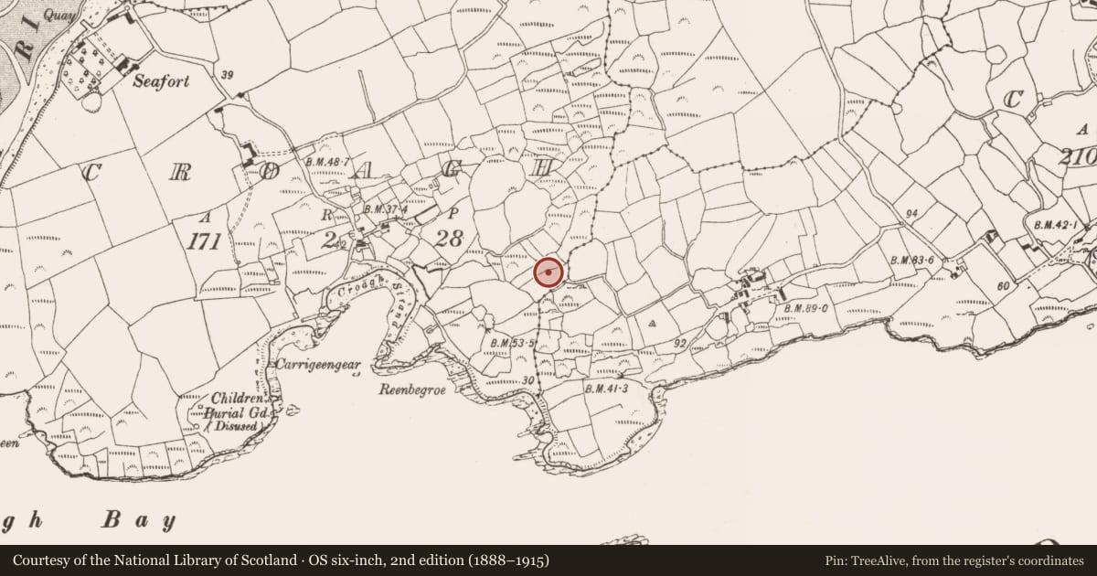 Ordnance Survey six-inch map, 2nd edition (1888–1915) covering the location of Standing stone, Croagh, County Cork, with a pin at the register's coordinates